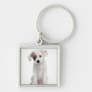 Cross breed puppy (2 months old) keychain