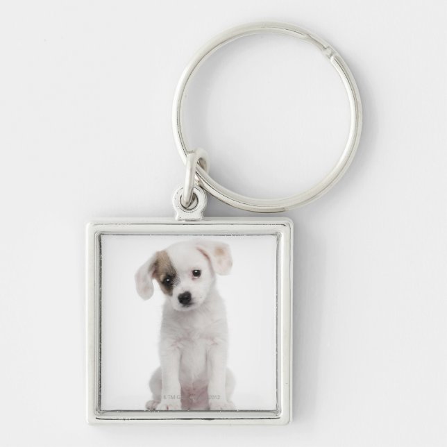 Cross breed puppy (2 months old) keychain (Front)