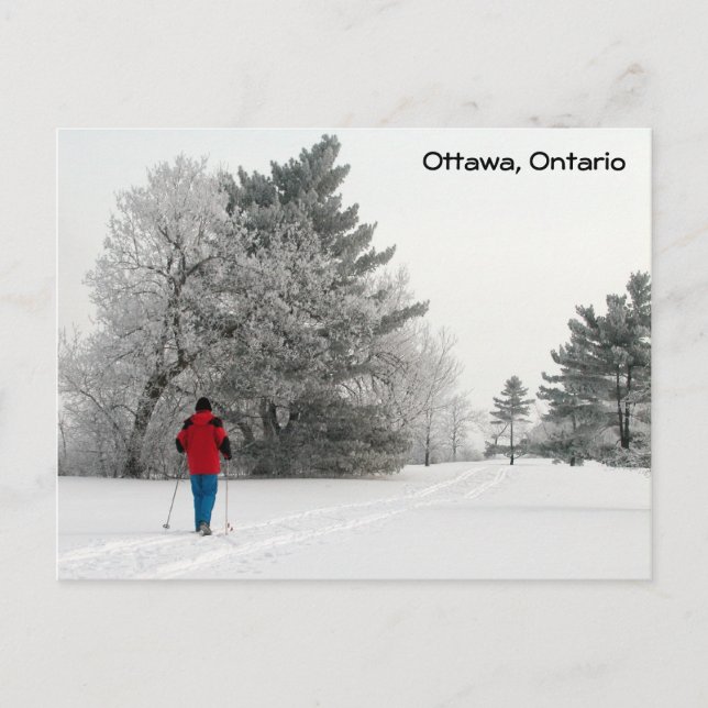 Cross Country Skiing on a Frosty Day Postcard (Front)