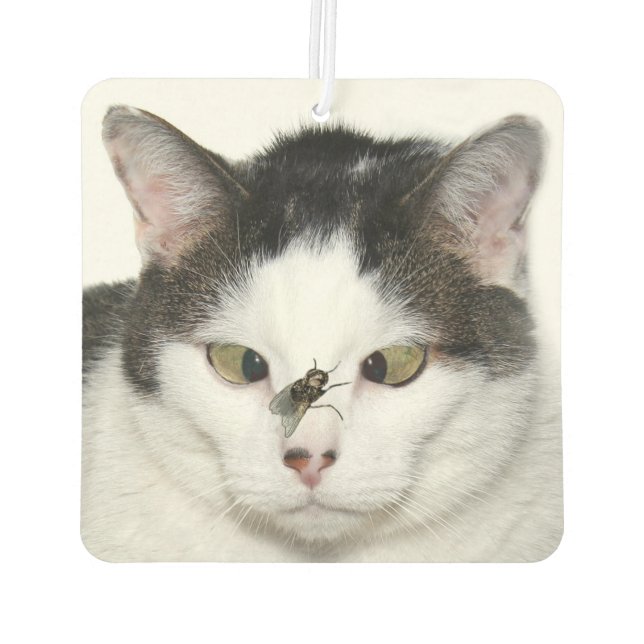 Cross eyed cat and fly air freshener (Back)