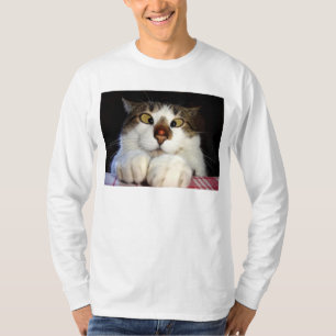 Cross Eyed Cat And Ladybird T-Shirt