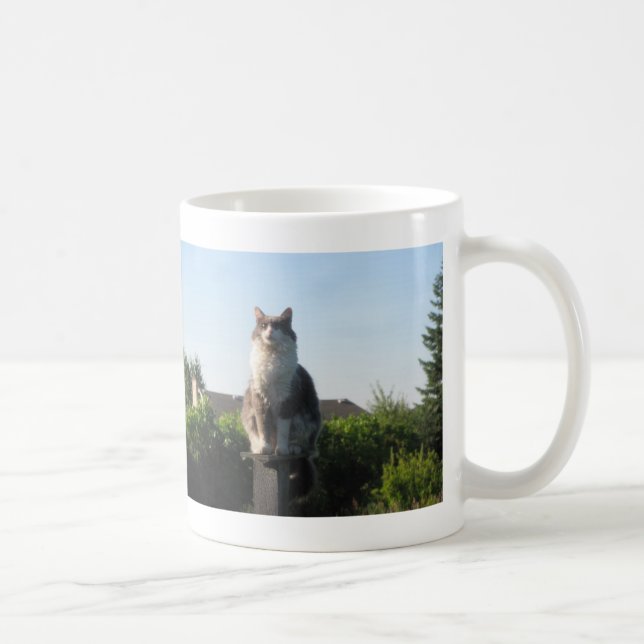 Cross eyed cat and Luke 1: 78-79 Coffee Mug (Right)