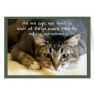 Cross-Eyed Cat Birthday