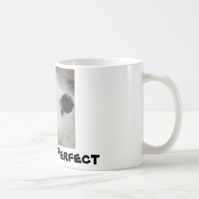 Cross-eyed Opposum, Heidi Coffee Mug (Right)