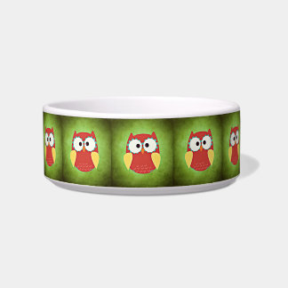 Cross Eyed Owl Bowl