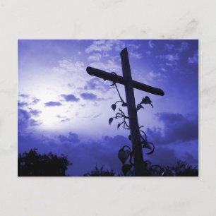 Cross of Jesus I am the Vine Christian Post Card
