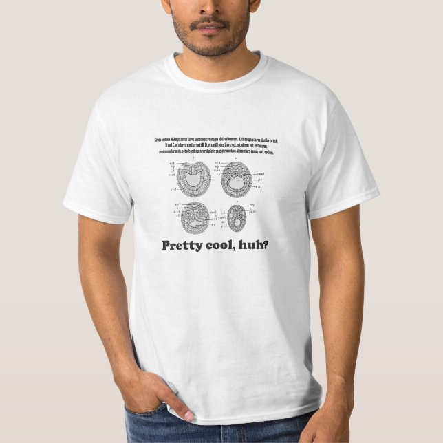 Cross Section of Amphioxus Larve T-Shirt (Front)