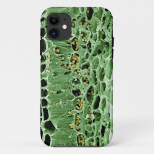Cross Section of Leaf iPhone 11 Case