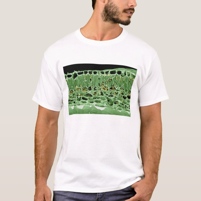 Cross Section of Leaf T-Shirt (Front)