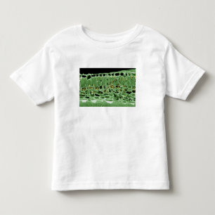 Cross Section of Leaf Toddler T-shirt