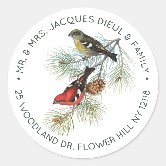 Crossbill Bird Personalized Sage Text  Classic Round Sticker (Front)