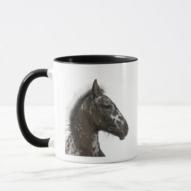 crossbreed Foal between a Appaloosa and a Mug (Left)
