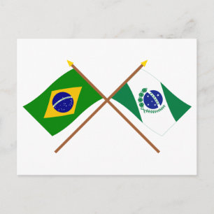 Crossed Flags of Brazil and Paraná Postcard