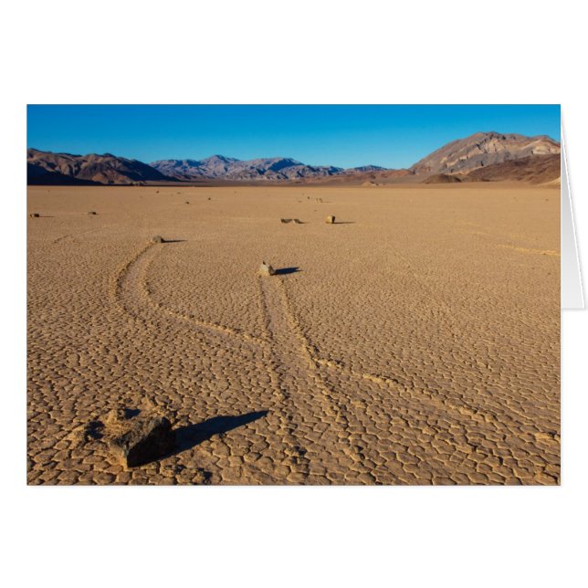 Crossing Paths (Front Horizontal)