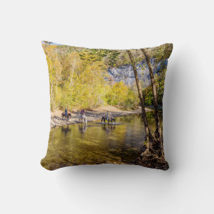 Crossing The Buffalo River Photo Pillow
