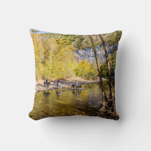 Crossing The Buffalo River Throw Pillow