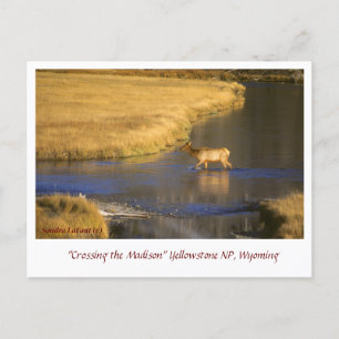 Crossing the Madison Postcrossing Postcard