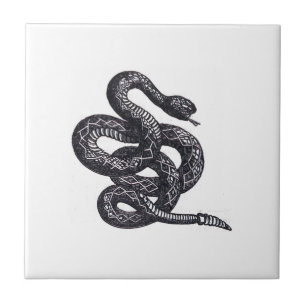 Crotalus Cascavella Snake (Venemous Pit Viper) Tile
