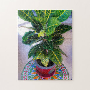 Croton en fleurs sur la table de mosaïque Puzzle