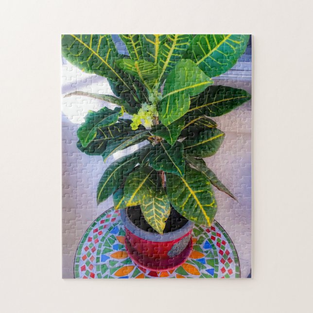 Croton en fleurs sur la table de mosaïque Puzzle (Vertical)