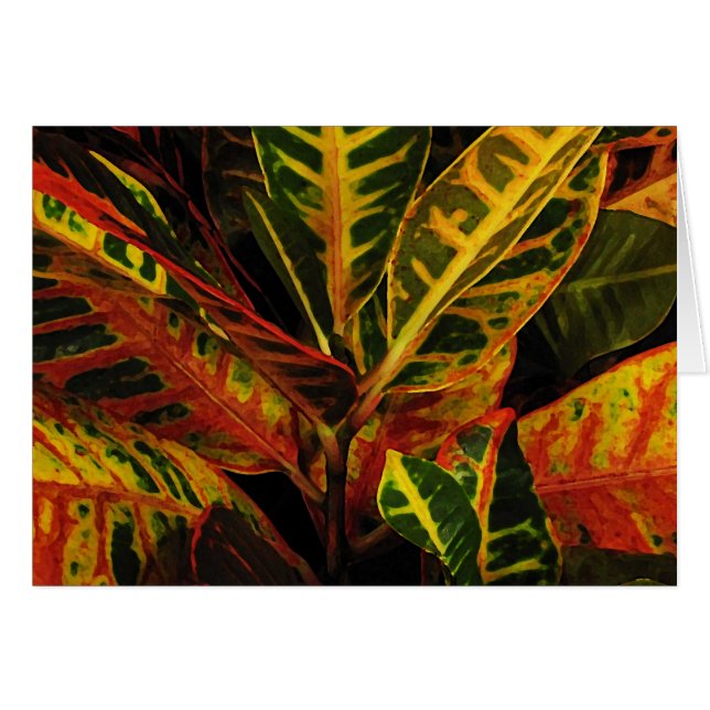 Croton Feuilles Abstraits (Devant horizontal)