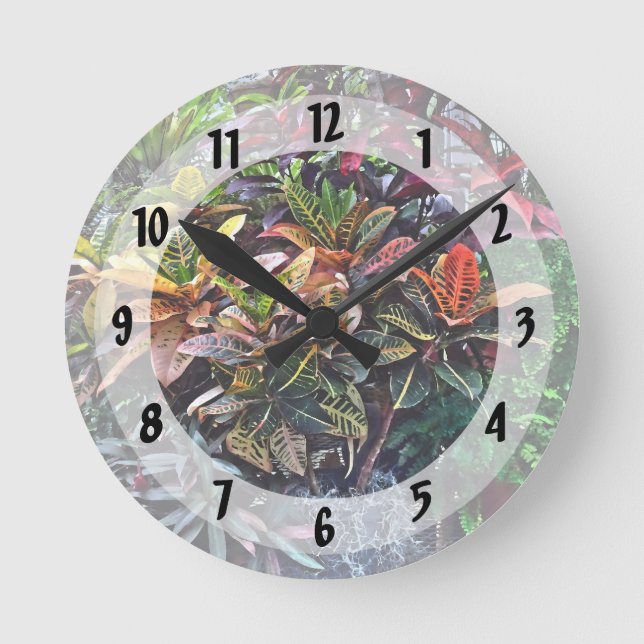 Croton in Greenhouse Round Clock (Front)