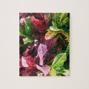 *Croton* Jigsaw Puzzle