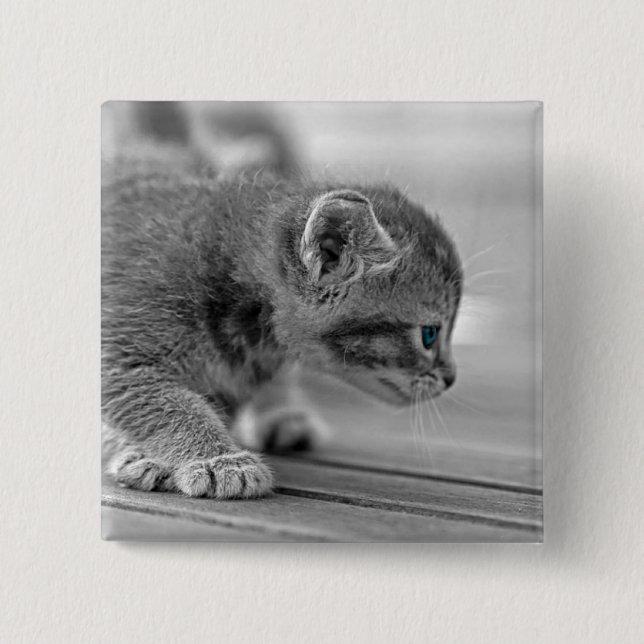 Crouching Kitten 2 Inch Square Button (Front)