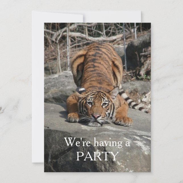 Crouching Tiger Customizable invite (Front)