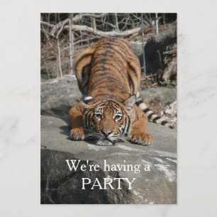 Crouching Tiger Customizable invite