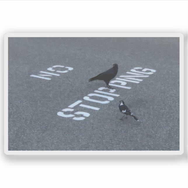 Crow and Magpie (Front)