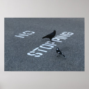 Crow and Magpie Poster