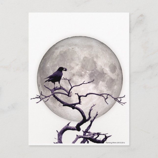 Crow And Moon Raven Fantasy Gothic Night Postcard (Front)