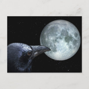Crow and Moon Raven Night Gothic Fantasy Postcard