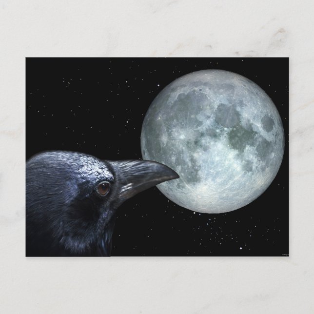 Crow and Moon Raven Night Gothic Fantasy Postcard (Front)