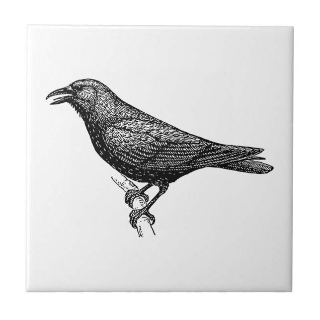 Crow Bird Art Tile (Front)