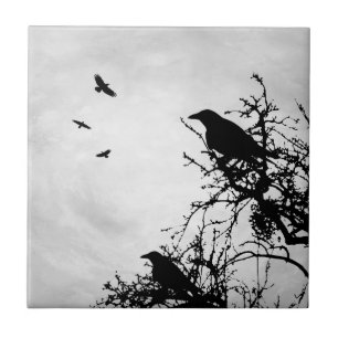 Crow Bird Design 43 Tile