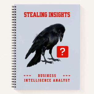 Crow Business Intelligence Analyst Notebook