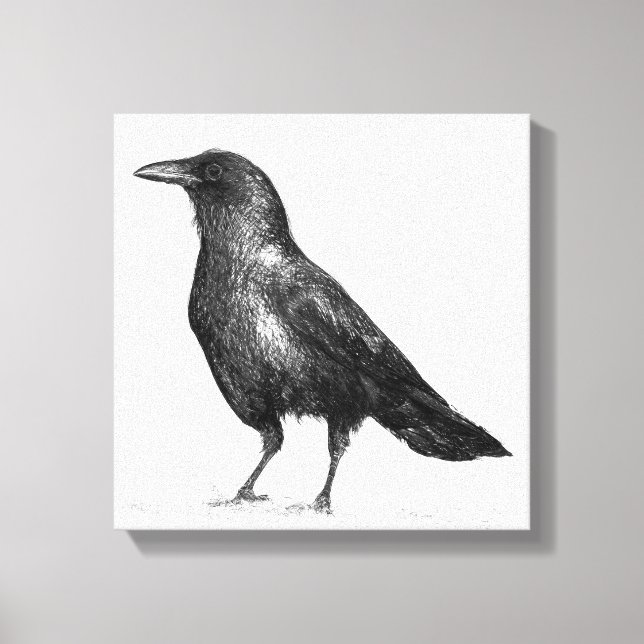 Crow Canvas Print (Front)