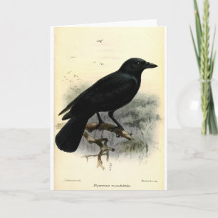 Crow Card