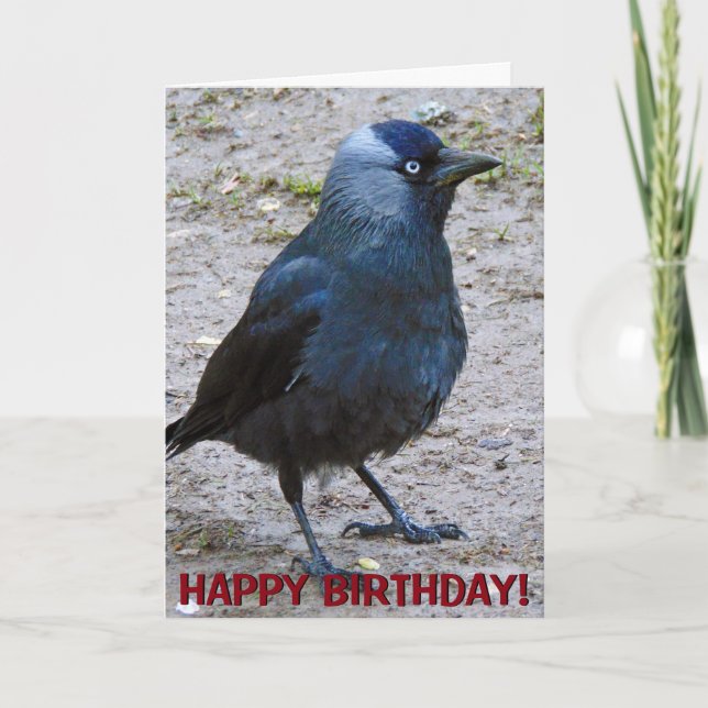 Crow customizable greetings card (Front)
