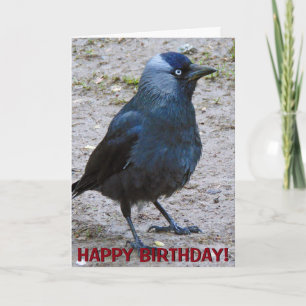 Crow customizable greetings card