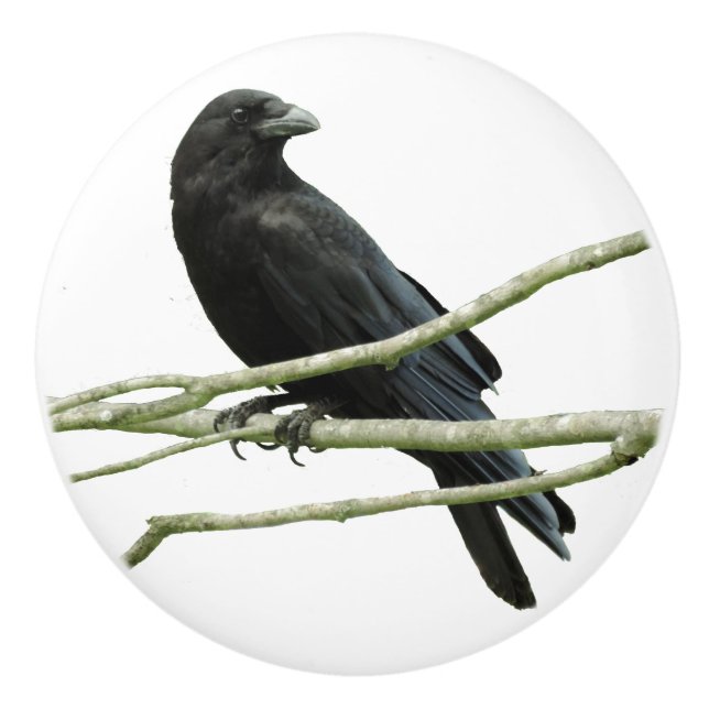 Crow Drawer Knob (Front)