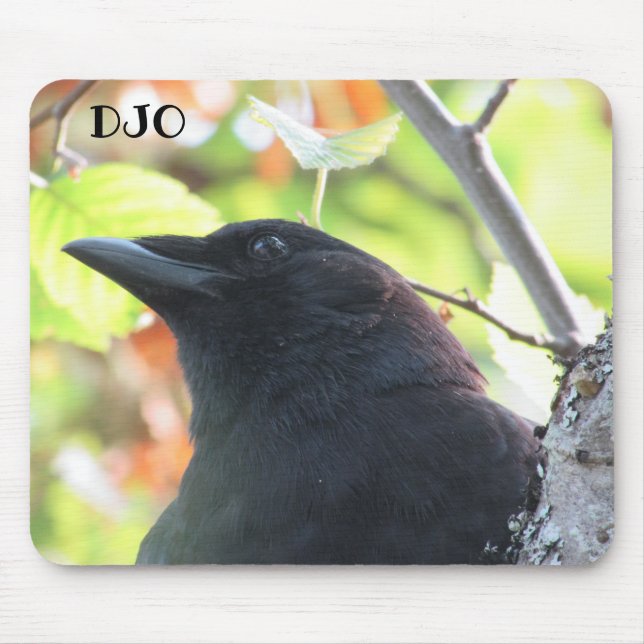 Crow Extreme Close Up Mouse Pad (Front)
