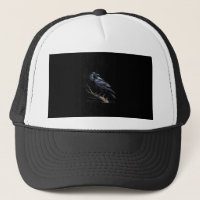Crow, F-Caw-F Funny Bird Funny Quote