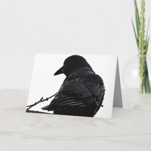 Crow Greeting Card