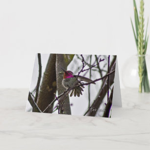Crow Hummer Card