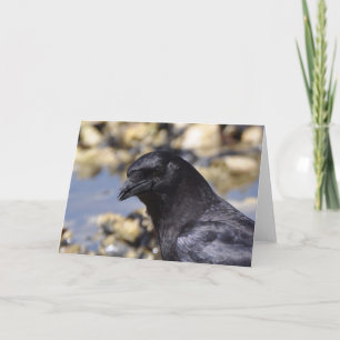 Crow humoristique - Carte Art Cadre