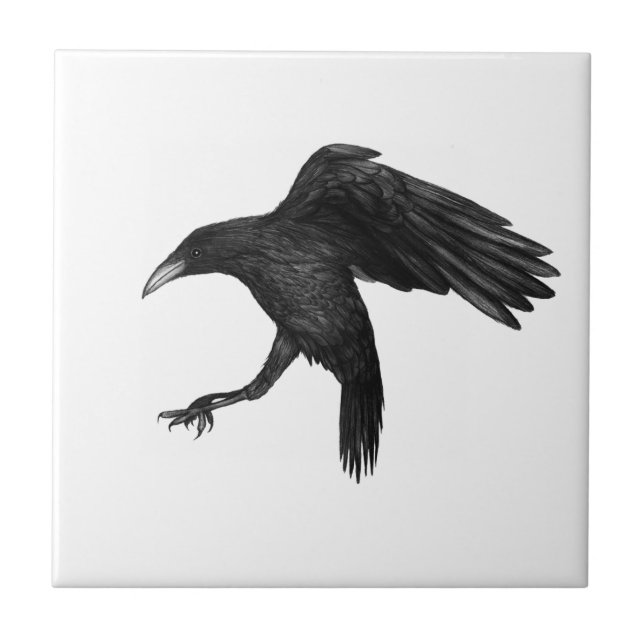 Crow Illustration Tile (Front)
