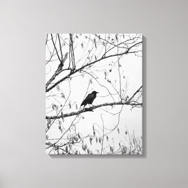 Crow in a Birch Tree Canvas Print (Front)